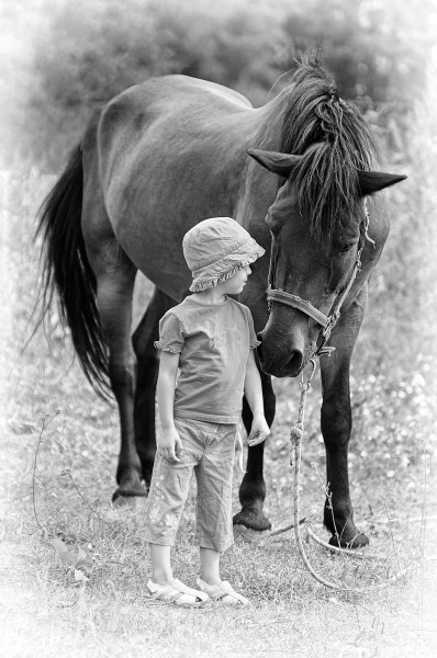 Little horse whisperer 2