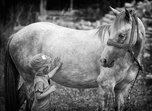 Little horse whisperer 3