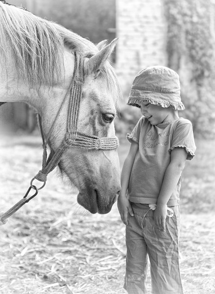 Little horse whisperer 1